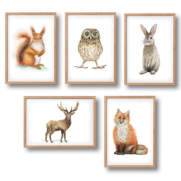 5 poster di animali animali della foresta - A4 - scuola materna - regalo di maternità - decorazione murale - dipinto a mano da Mies con acquerello