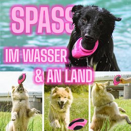 NE & NO® Dog Football-Floatable