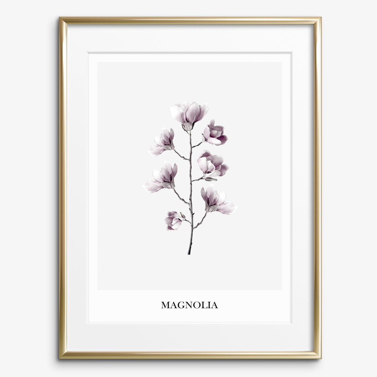 Poster: Magnolia