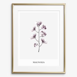 Poster: Magnolia