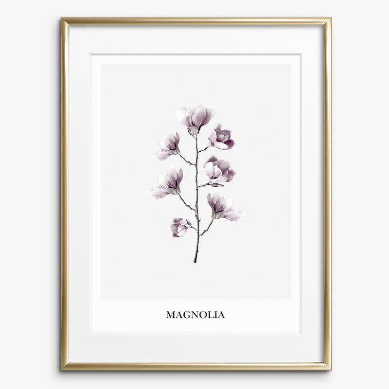 Poster: Magnolia