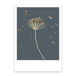 Botaniczna Bomba 01, pocztówka