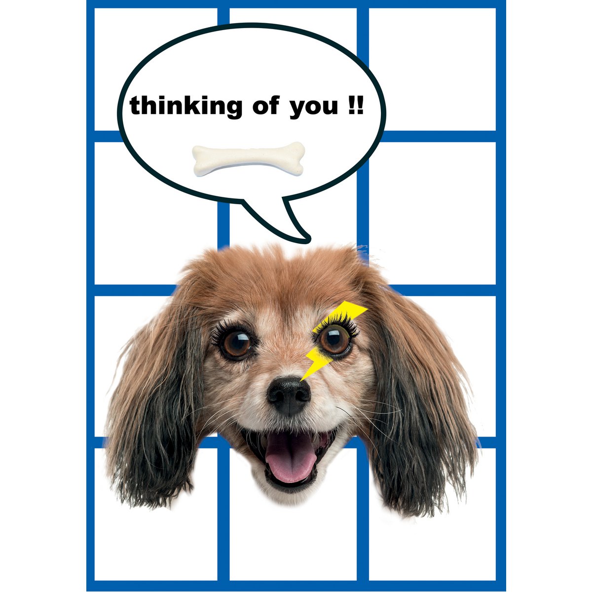 Postkarte Hund Flappie - Thinking of you 10 Stk.