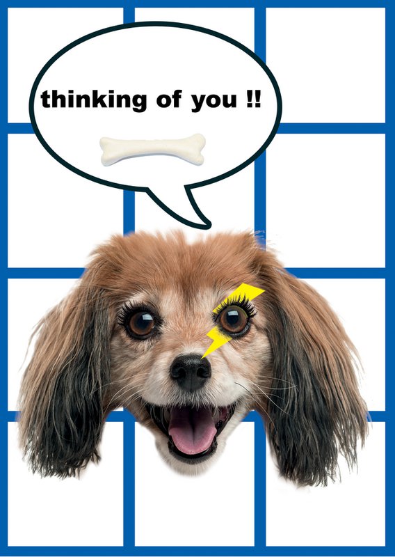 Postkarte Hund Flappie - Thinking of you 10 Stk.