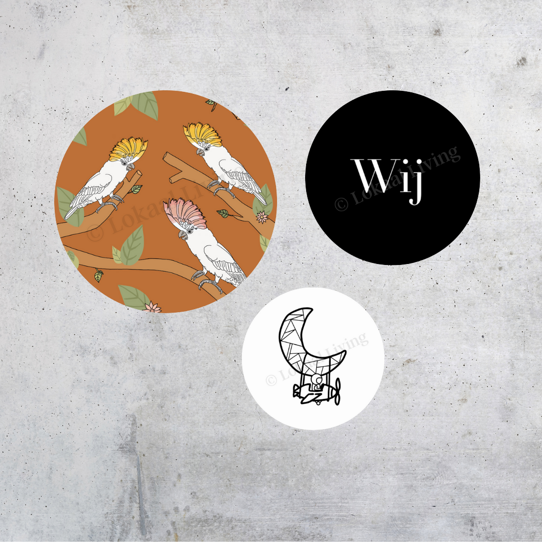 Wall circle Cockatoo color