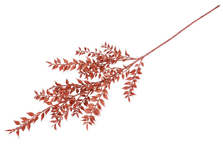 Kunstblad Ruscus roest- L6B12H93CM