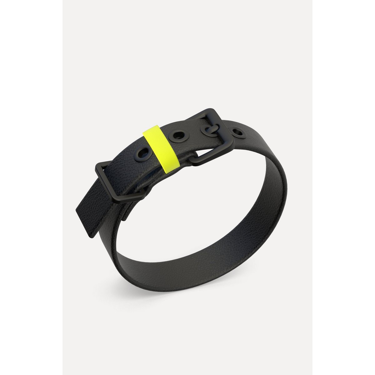Dog collar C01