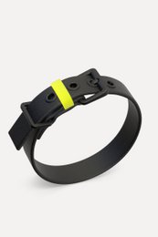 Dog collar C01