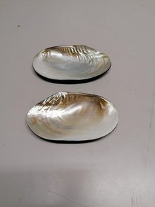 Muschelschale