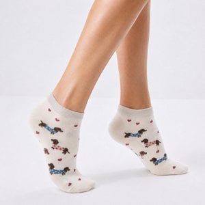 Socks - Dachshund