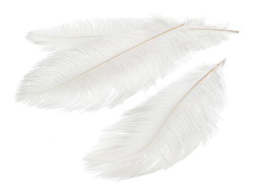 Feder Straußenfeder, Ostrich, 12 Stk., 20-25cm, weiß