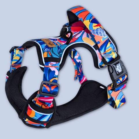 Lagoon Comfort Y-Geschirr