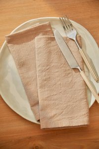 Set of 2 Gavema beige cotton napkins
