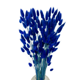 Bunny Tails (Lagurus) 50g Mørkeblå