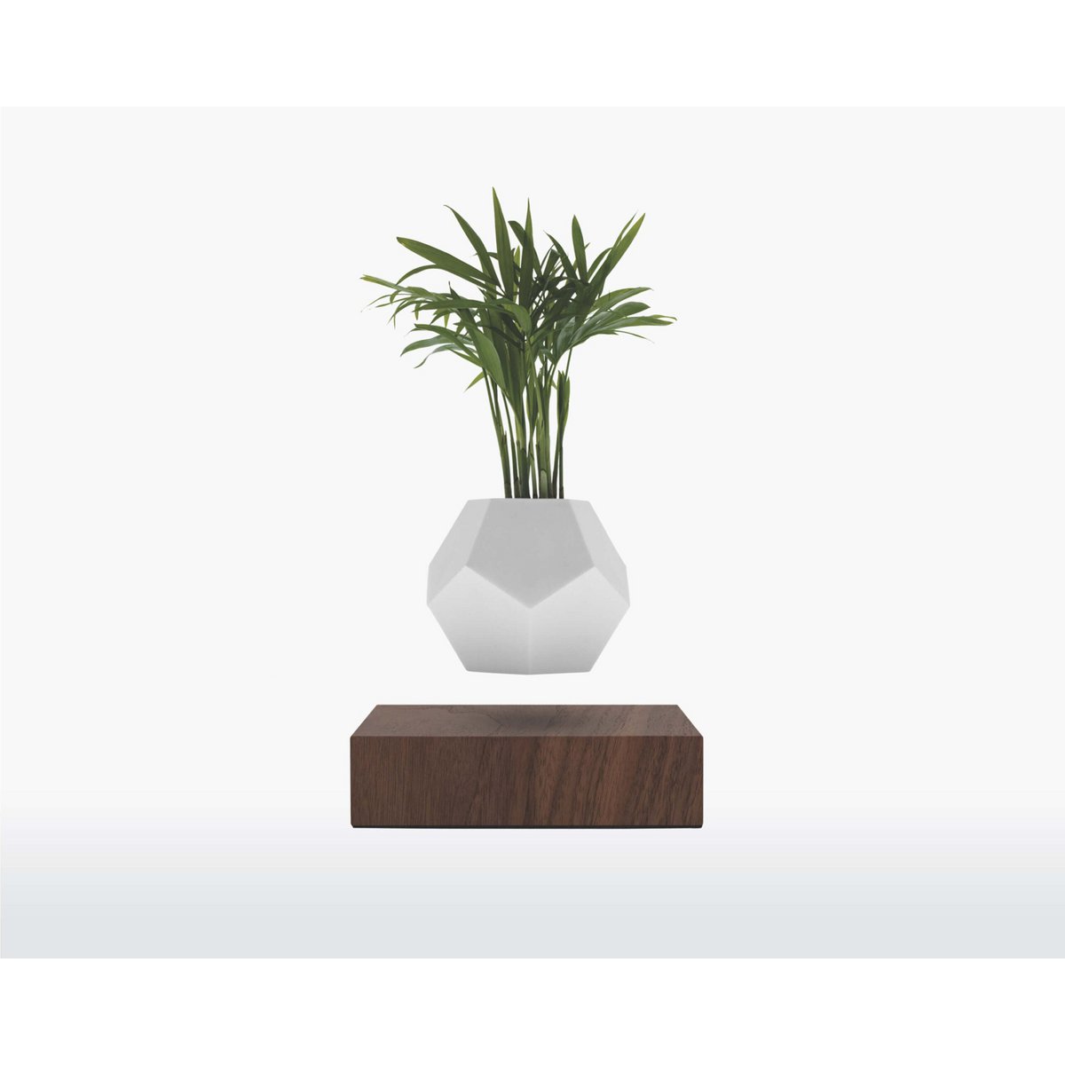 LYFE zwevende plantenbak