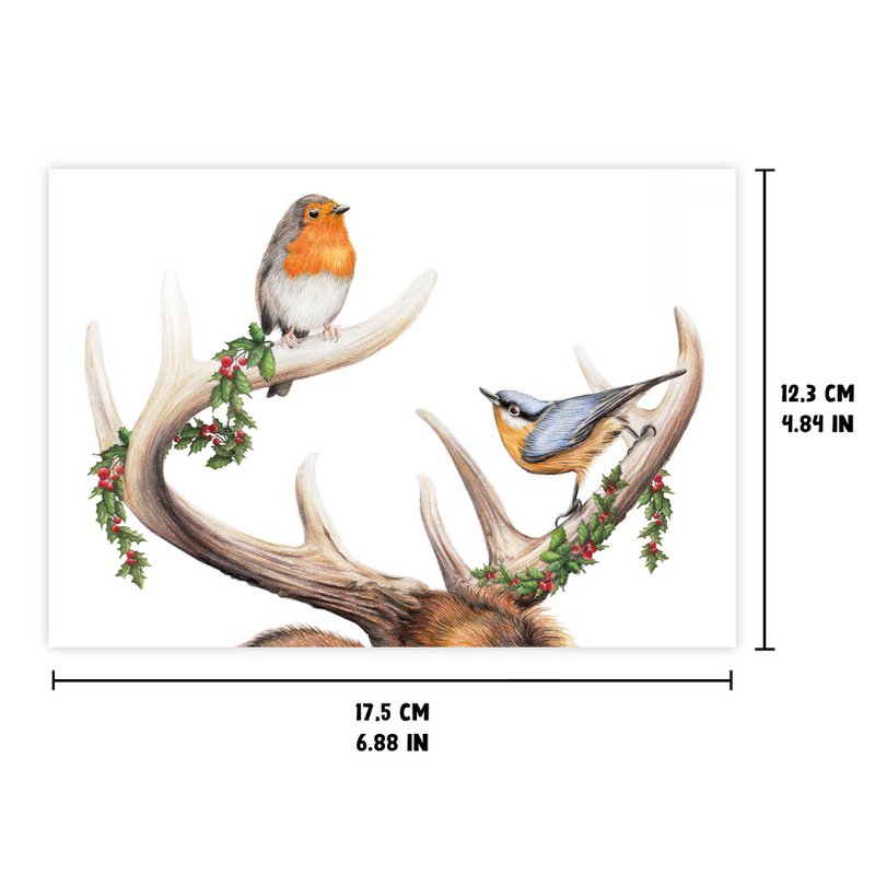 Birds on Antler Christmas Card, Greeting Card, Holiday Card 12,3 x 17,5 cm