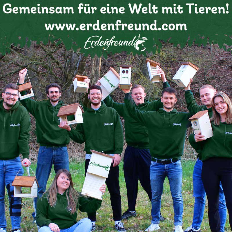 Soldat Fly Larvae tørret 5L