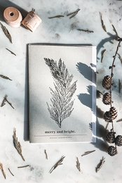 Merry + Bright - Christmas / Winter Botanical Cards - Naturinspirerede kort