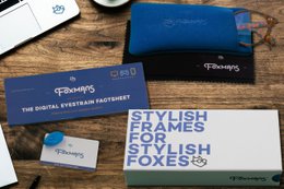 Harrison Blue Light Glasses - Heavy Duty Lens (krystal stel)