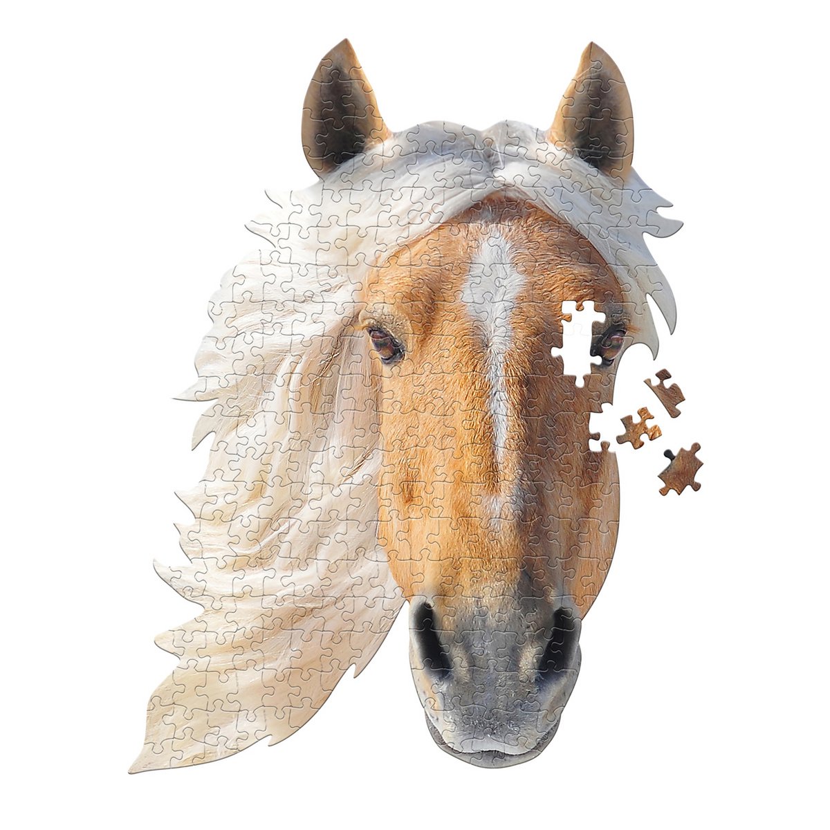 I Am Mini - Paard