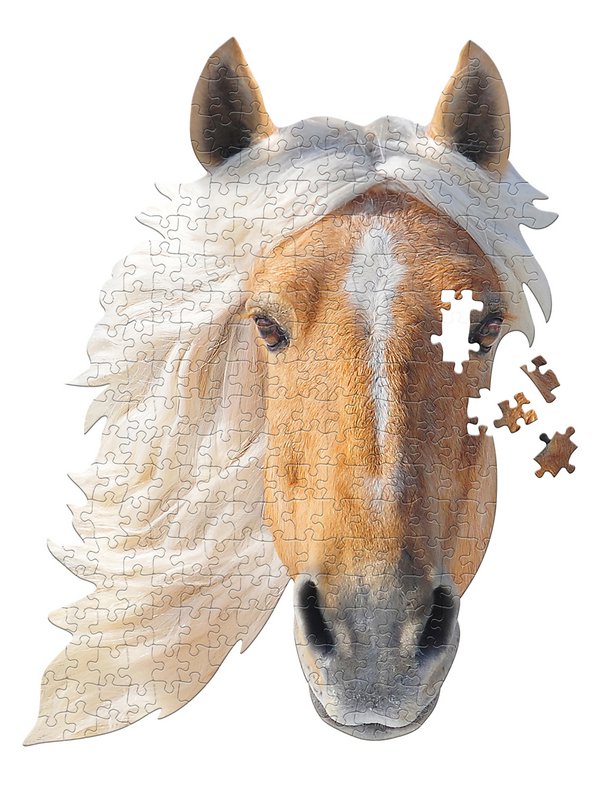 I Am Mini - Paard