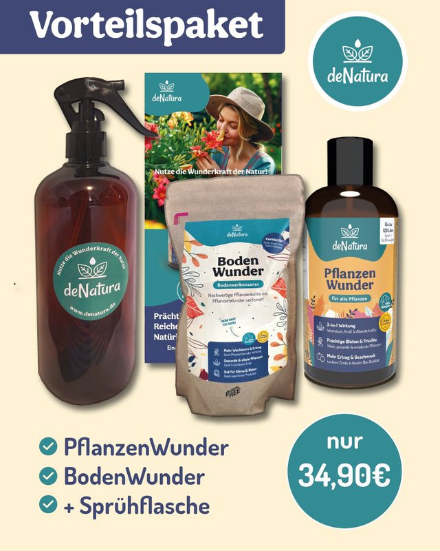 Duo miracoloso del giardino: miracoli delle piante e miracoli del suolo - ora in una confezione speciale con flacone spray!