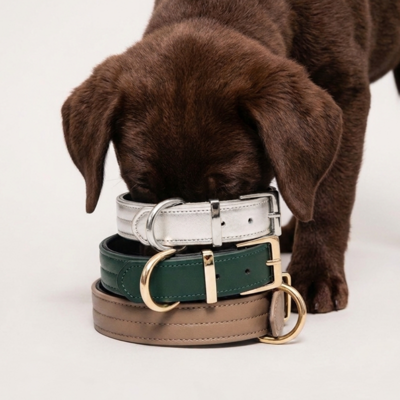 CHURCHILL-HALSKETTE. Kaffee – Hundehalsband aus veganem Leder