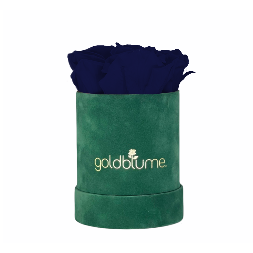 Velvet Green Collection
