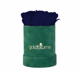 Velvet Green Collection