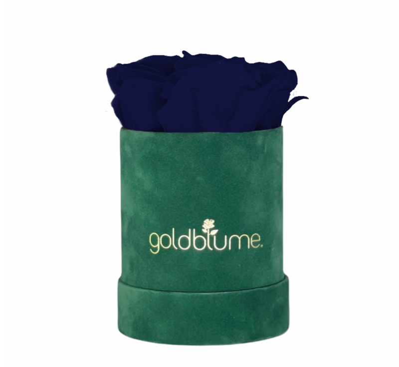 Velvet Green Collection