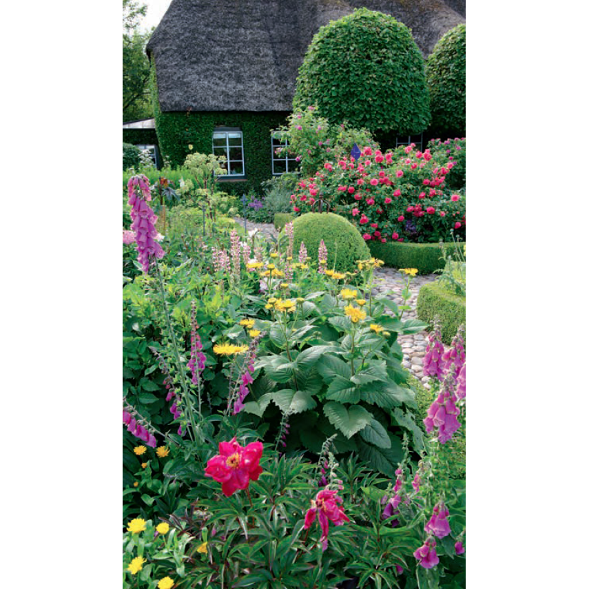 Stauder i haven. Designideer til evigt blomstrende bede