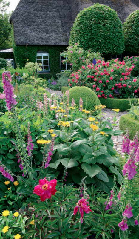 Stauder i haven. Designideer til evigt blomstrende bede