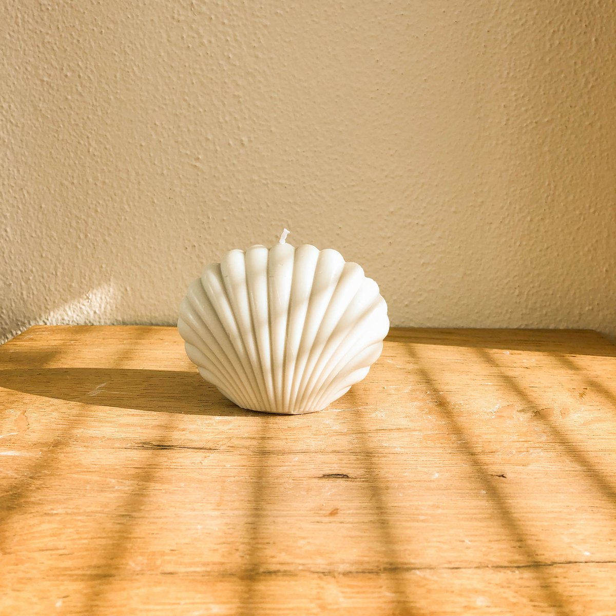 Muschelkerze