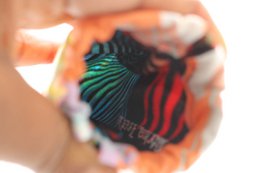 Edna butterfly brilleetui
