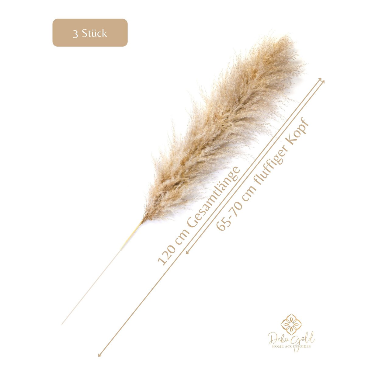 Pampagras groot beige 120 cm