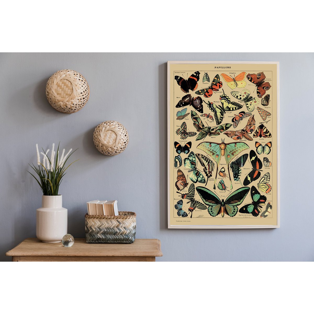 Plakat Vintage Motyle