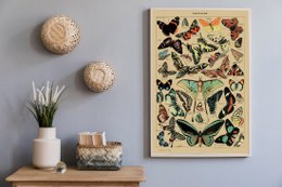 Plakat Vintage Motyle