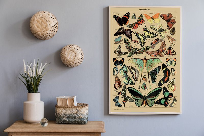 Plakat Vintage Motyle