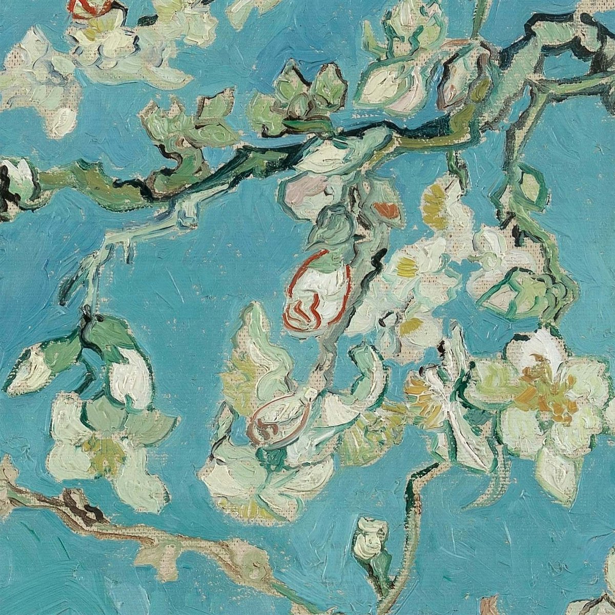 Turquoise amandel bloesem dier kussensom