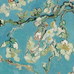 Turquoise migdałowa pokrywka poduszki