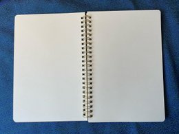 Quaderno/diario dei tulipani