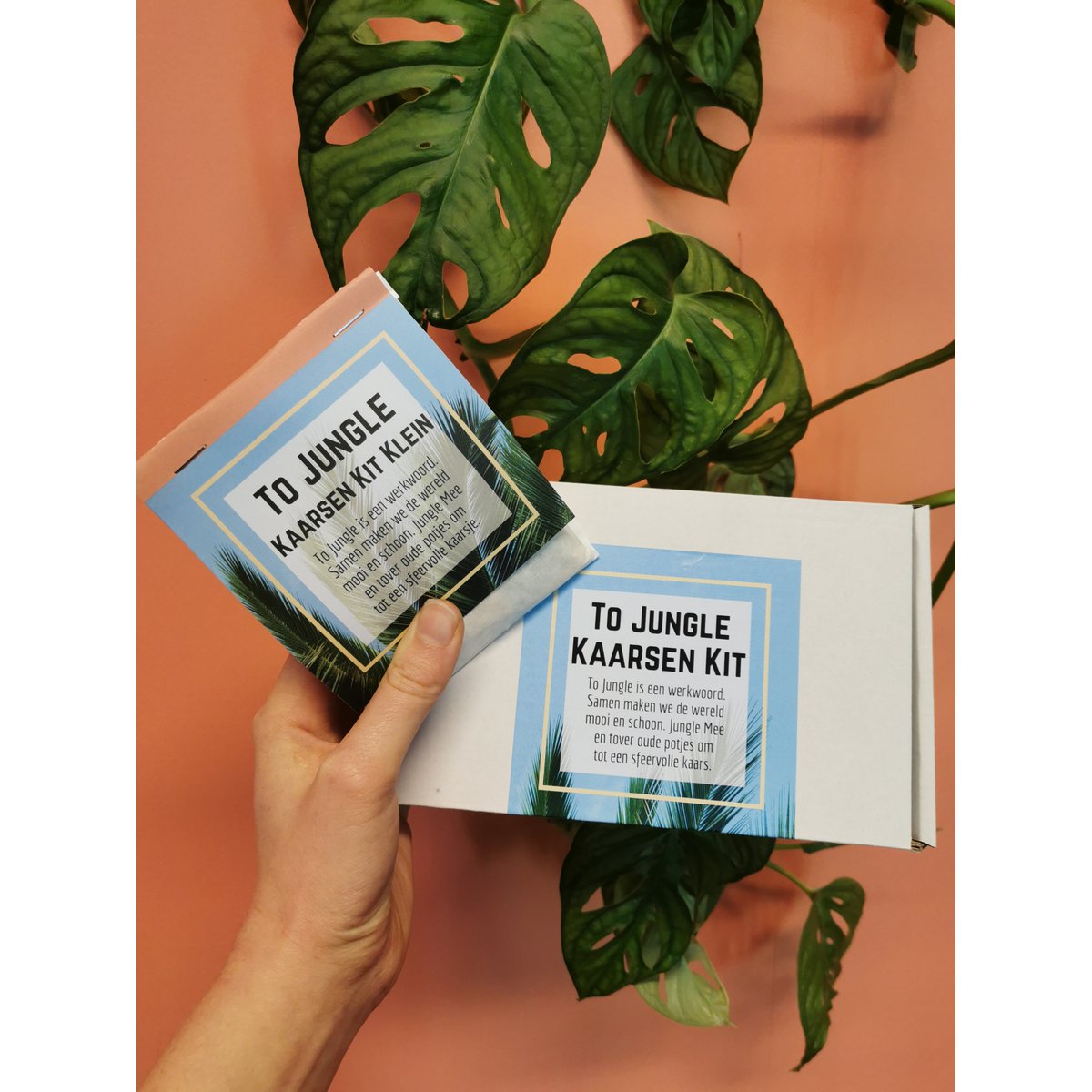 Kit de bougie To Jungle