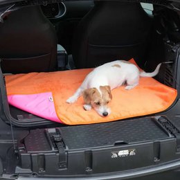 Reisematte Travel Mat Picknicker dunkelgrün orange