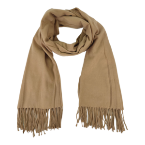 qs-242 camel