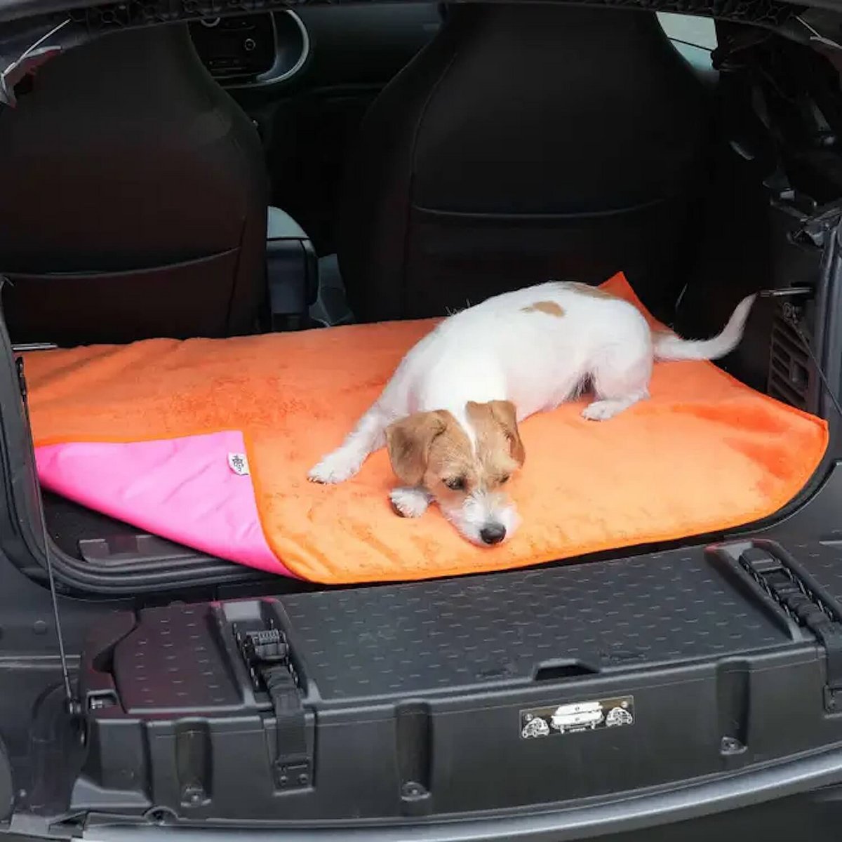 Reisematte Travel Mat Picknicker pink orange