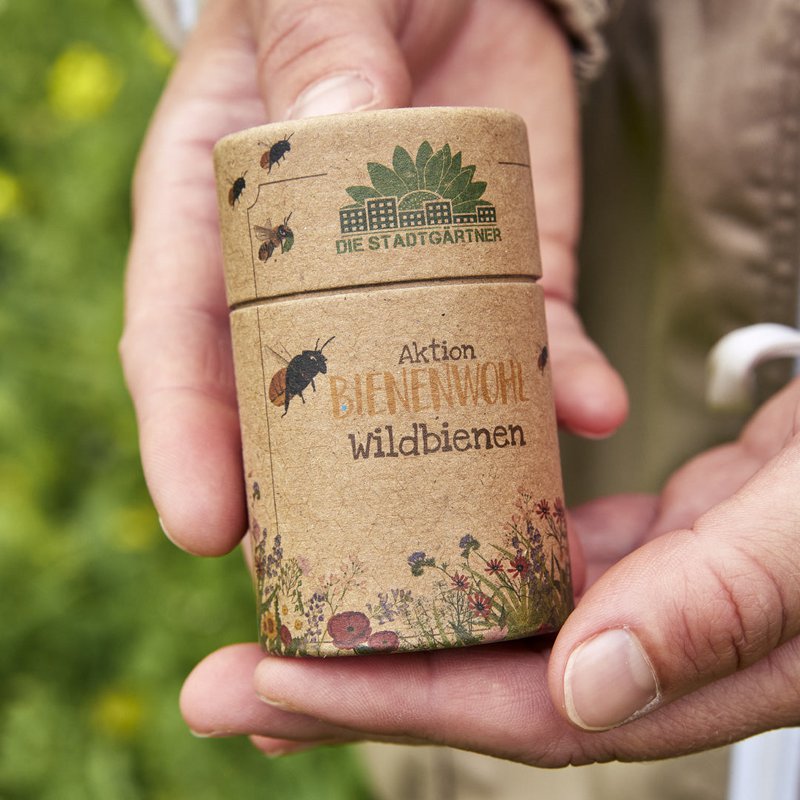 Bienenwohl - Saatgut Großverpackung - Wildbienen