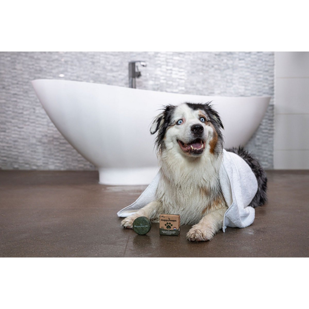 Dog Shampoo Bar – Universal