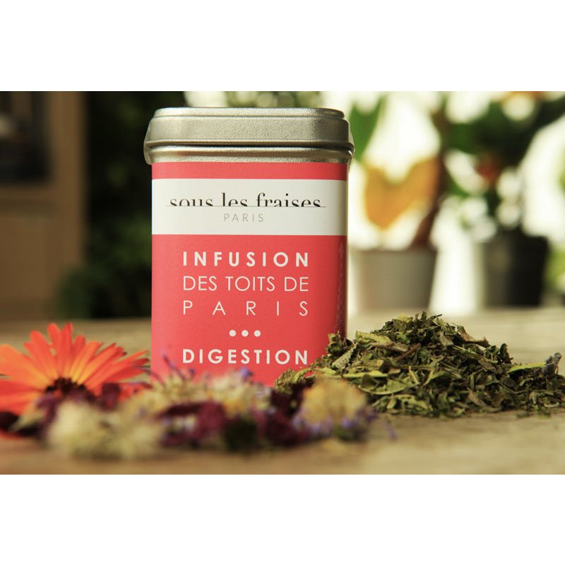 Infusion - DIGESTION