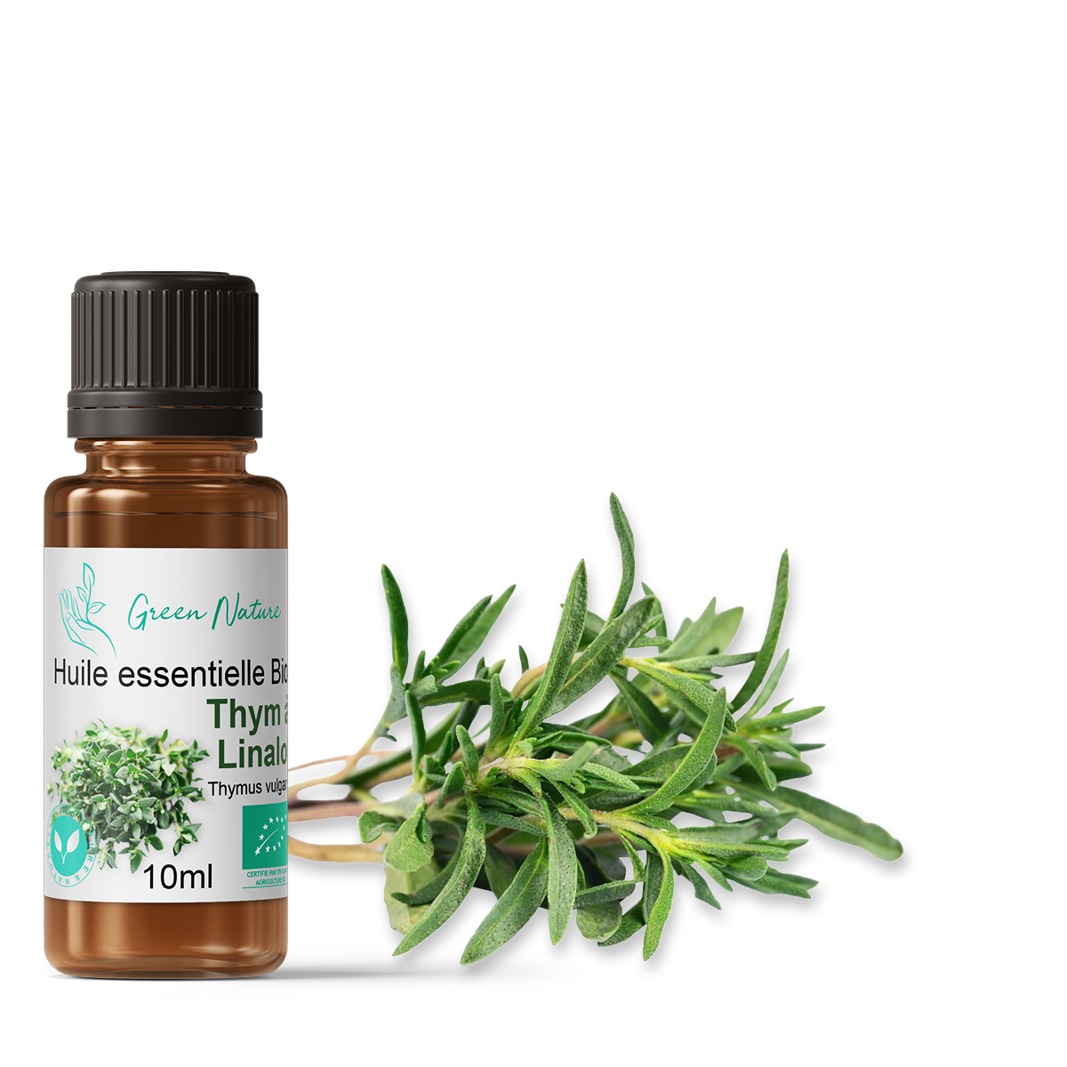 Organic Thyme Essential Oil with Linalool