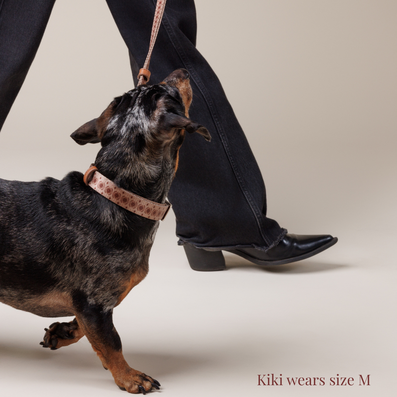 Dog Collar - Timeless Mocha